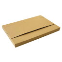 メール便用ケース A4サイズ 30枚 - Mail-Bin A4 Size 30pc