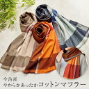 今治産やわらかあったかコットンマフラー / マフラー 防寒 カジュアル 大人 ファッション レディース 婦人 秋 冬