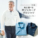 【11月20日-27日限定★ポイント5倍】 【お買い得2色セット】ダンロップ・リファインド 袖丈選べる衿ジャカードポロシャツ3色組 S M L LL 3L / ...
