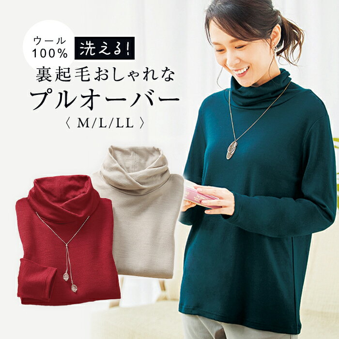 【2月4日-10日限定★ポイント5倍】 洗える！裏起毛おしゃれなウール100％プルオーバー M L LL / トップス カットソー カジュアル 大人 ファッション レディース 上品 30代 40代 50代 60代 70代 女性 秋 冬