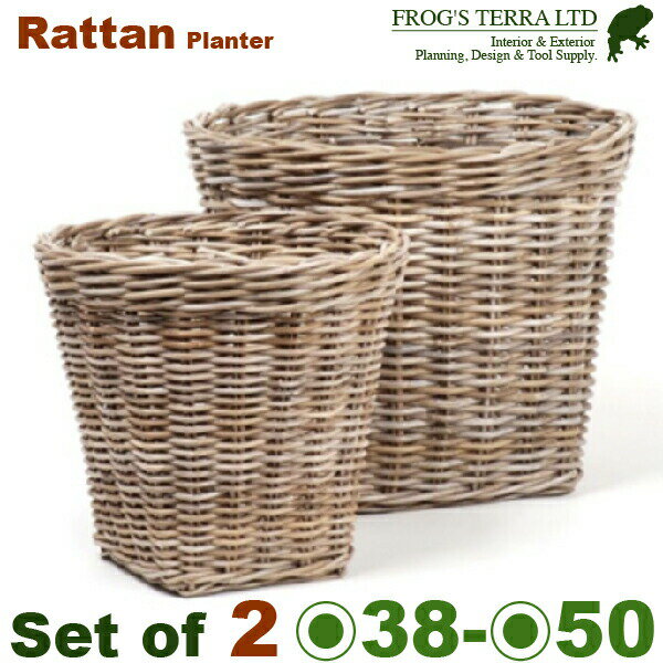 AD916 ^v^[oXPbgS/LZbgiL:a50cm~H45cm/S:a38cm~H36cmjiڔjiVR^/Rattan/OXt@Co[jiJo[j