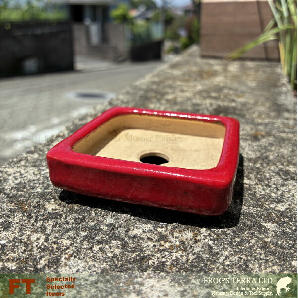 Rakuten - 【屋外対応】鶏血 正角鉢（口7cm×H2cm）（底穴あり） 盆栽鉢 最高級