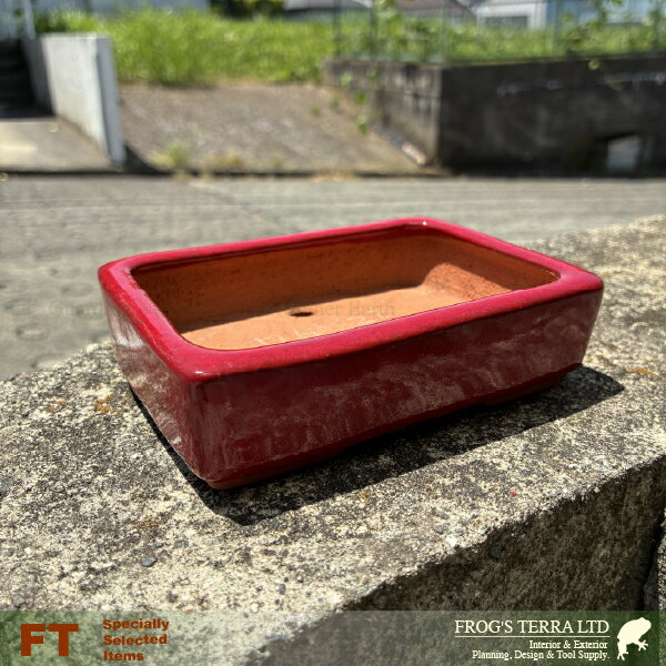 Rakuten - 【屋外対応】鶏血 長角鉢 大（W14.5cm×D10.5cmxH3.5cm）（底穴あり） 盆栽鉢 最高級