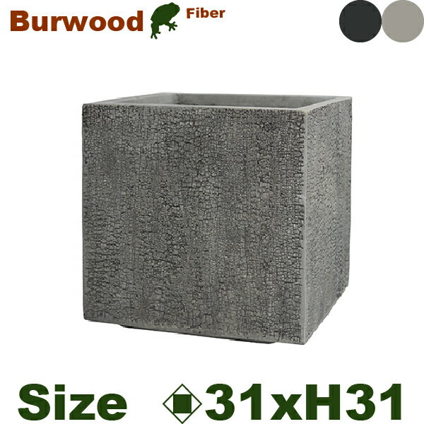 Rakuten - GP BURWOOD バーウッド キューブ 31（口31.5cm×H31.5cm）（底穴あり）（8号可）（Fクレイ）（耐候 軽量）（寒冷地非推奨）