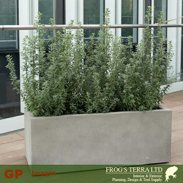 Mode Lite �⡼�ɥ饤�� �ץ�󥿡� 80��W80cm��D31cm��H31cm�ˡ���ꤢ��ˡ�FRP���ˡ��Ѵ� �Ѹ� ���̡ˡʥޥ��ʥ���