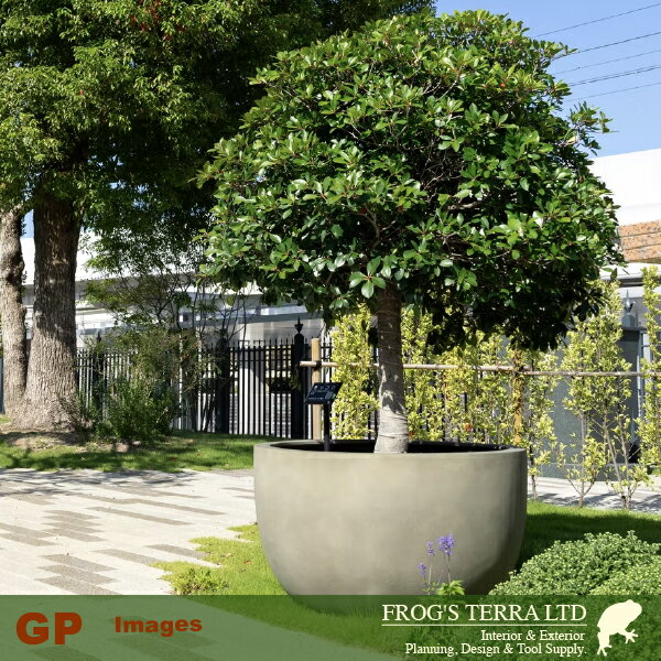 ��ˡ�Ͱ����꾦�ʡ�Mode Lite �⡼�ɥ饤�� �ܥ��� 120��ľ��120cm��H69cm�ˡ���ꤢ��ˡ�FRP���ˡ��Ѵ� �Ѹ� ���̡ˡʥޥ��ʥ���