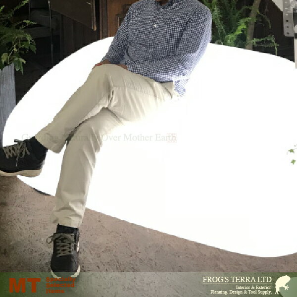 ���������Ӹ��ѡۥ���ܡ��� ���ե� �饤���� EP-6263L ��W165cmxD88cm��H66cm�ˡʥݥ�ե��˥��奢/Plus+/����/�����ˡ� �����ǥ�ȶ�/�ݥꥨ���������