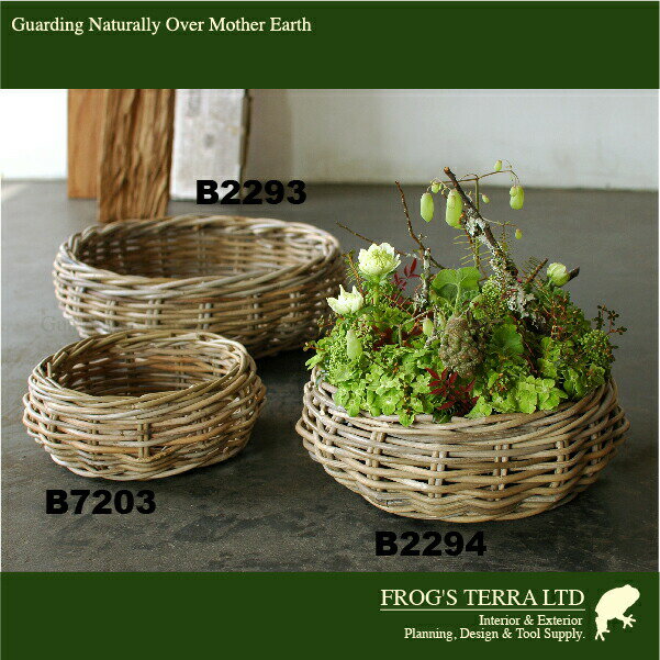 Gray Rattan Basket M 2個セット B2293（直径30cm×H12cm）（底穴なし）（ラタン/藤...