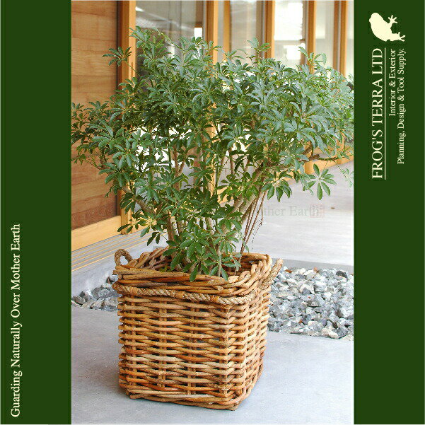 Rattan Basket・B8200（ロ45cm×H43cm）（底穴なし）（ラタン/藤）（植木鉢/鉢カバー）（プランター/園芸/寄せ植え/ポット）