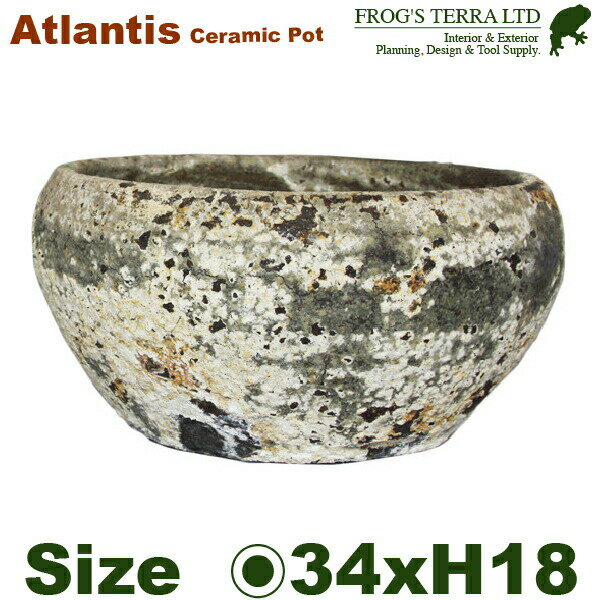 ボタンプランターL FS6833ADL Atlantis低丸型（直径34cm×H18cm）（底穴有）（陶器製）（観葉鉢）