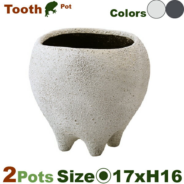 Rakuten - 【屋外対応】MM Tooth Pot L 同色2個セット（直径17.5cm×H16.5cm）（底穴あり）（陶器製）（歯科医院/盆栽/多肉/花の里）