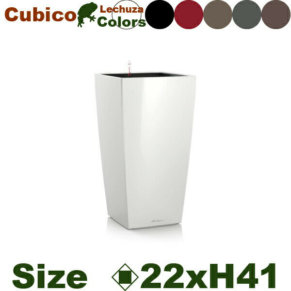 Cubico L[rR22(22cm~H41cmjʊ |vs v^[ |bg Lechuza `[U Ǝ{