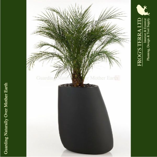 Vondom Stone �ܥ�ɥ� ���ȡ���120 VN-55011A (W105cm��D84cm��H120cm�ˡ���ꤢ��/�ʤ��ˡʥݥꥨ��������ˡʥץ�󥿡�/�ݥåȡ�