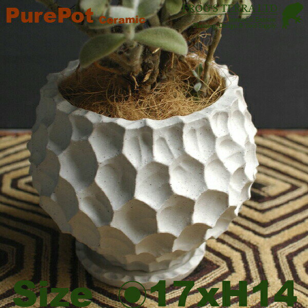 樂天商城 - Pure Pot C2305（直径17cm×H14cm/6号）（底穴あり/受皿付）（陶器製）（プランター/ポット）