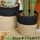 Rib Basket・XS・B5232・3個セット（直径17cm×H17cm）（底穴なし）（植物繊維/ジュート）（植木鉢/鉢カバー）（プランター/園芸/寄せ植え/ポット）