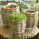 Gray Rattan Basket S 6個セット B1229(直径13cm×H12cm)(底穴なし)(ラタン/藤)(植木鉢/鉢カバー)(プランター/寄せ植え...