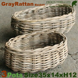 Gray Rattan Basket S 3個セット B1239（W35cm×D14cm×H12cm）（底穴なし）（ラタン/藤）（植木鉢/鉢カバー）（プランター/寄せ植え/ポット）