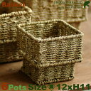 Basket・S・6個セット・B2255(ロ12cm×H11cm)(底穴なし)(植物素材)(植木鉢/鉢カバー)(プランター/園芸/寄せ植え/ポット)