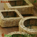 Basket M 6Zbg B9225i20cm~H7cmjiꌊȂjiAfށjiAؔ/Jo[jiv^[/񂹐A/|bgj