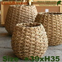 Lush Basket S B8210ia39cm~H35cmjiꌊȂjiA@ہjiAؔ/Jo[jiv^[/񂹐A/|bgj