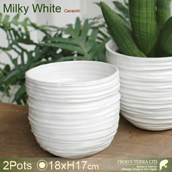 屋内向け植木鉢（プランター/ポット） 2個セット 【外寸】直径18cm×H17cm 【材質】陶器製 【色】マットホワイト 【底穴】なし（こちらの商品は開口加工できません） ※植物育成用途の耐水性はありますが100％防水ではありません。 ※陶器鉢の若干のムラ、米カケ、ピンホール、釉飛び、歪み、焼ヒビ等は通常品となります。 ※サイズは目安であり多少前後する場合がございます。 ※画面上の色はブラウザや設定により、実物は異なる場合があります。ご了承の上ご注文下さい。
