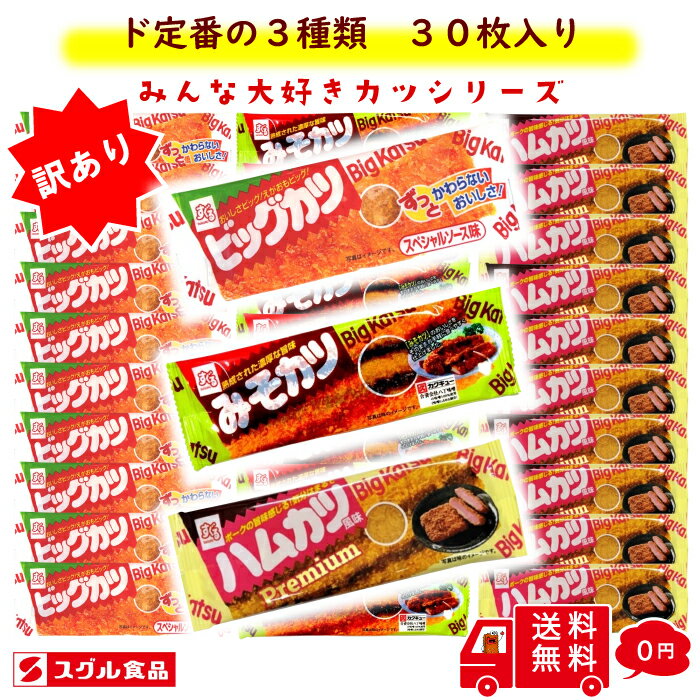 【スーパーSALE期間限定！9月11日まで】訳あり 商品 すぐる カツシリーズ 【賞味期限9月17日～】 30枚 すぐる 不動の人気 3種類 ビッグカツ ハムカツ みそカツ 格安 1枚あたり16.6円のサムネイル