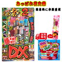 超メガ盛り あっぱれ花火祭DX 片付け楽チン 固めてポイ 伝統的線香花火心付き 子どもの日 手持ち 花火 セット 詰め合わせ 花火セット 送料無料 大量 手持ち花火 たくさん はなび 線香花火 子供 安全 大容量 はなび プレゼント ギフト お祭り 子供会 町内会 BBQ キャンプ