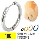 リングピアス 18g 軟骨 ピアス 18G フープ 軟骨ピアス キャッチ サージカルステンレス ピアス 金属アレルギー 安心 セカンドピアス ボディ ピアス ボディーピアス トラガス 軟骨用 つけっぱなし かわいい 華奢 シンプル ファーストピアス シルバー