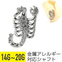 【セール】サソリ スコーピオン ストレートバーベル 14G 16G 18G 20G サージカルステンレス ジルコニア ジュエル イヤーロブ ヘリックス コンク ...