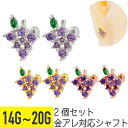 2個セット グレープ ビジュー ストレートバーベル 14G 16G 18G 20G サージカルステンレス ジルコニア ジュエル ヘリックス 軟骨ピアス ボディピ...
