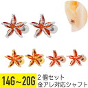 2個セット オレンジ ジュエル ヒトデ ストレートバーベル 14G 16G 18G 20G サージカルステンレス ジルコニア ジュエル シルバー ゴールド ピン...