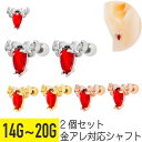2個セット レッド ジュエル サソリ ストレートバーベル 14G 16G 18G 20G サージカルステンレス ジルコニア ジュエル シルバー ゴールド ピンク...