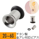 【セール】チタン シングルフレア トンネル 6G 4G 2G チタン シルバー イヤーロブ ラージイヤーホール 拡張 ボディピアス ラージ ゲージ ホール アイ...