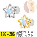 ブルー ストーン スター ストレートバーベル 14G 16G 18G 20G サージカルステンレス ジルコニア ジュエル シルバー ゴールド イヤーロブ ヘリックス アウターコンク 軟骨ピアス ボディピアス 星 青 ドット フレーム キラキラ(4)