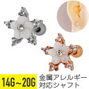 フラワー スター フレーム ジュエル ストレートバーベル 14G 16G 18G 20G サージカルステンレス ジルコニア ジュエル シルバー ピンクゴールド ...