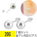 2個セット パール アクリル スタッド ピアス 20G 樹脂 アクリル イヤーロブ きれい目 フォーマル 冠婚葬祭 アクリルポスト