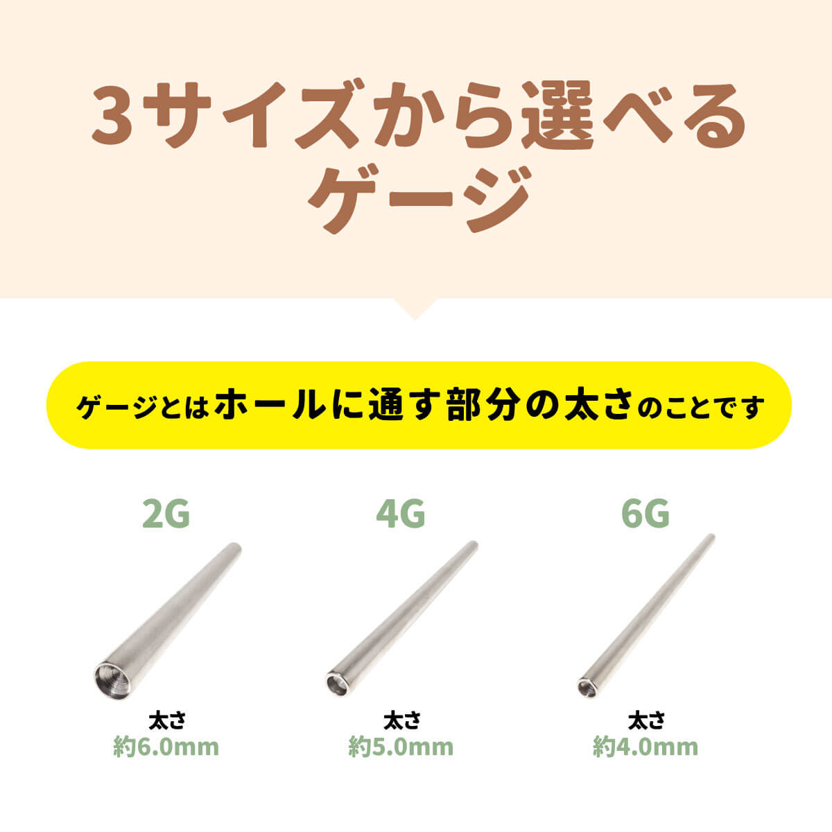 インサーションテーパー 2G 4G 6G サージカルステンレス シルバー 拡張 ボディピアス インサーションピン 拡張 金属アレルギー対応 3