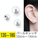 パールキャッチ 12G 14G 16G 18G イヤーロブ ヘリックス トラガス 軟骨ピアス ボディピアス パール 人工石