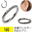 【セール】アーガイル セグメントリング 16G サージカルステンレス イヤーロブ ヘリックス 軟骨ピアス ボディピアス アーガイル 模様
