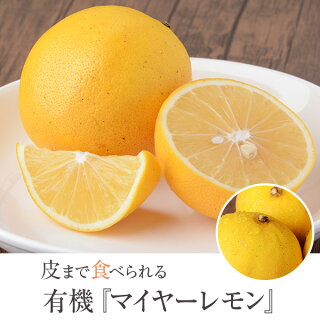 輸入レモン は農薬がいっぱい 農薬や防カビ剤を落とす洗い方 Kitchen Report キッチンレポ 輸入レモン は農薬がいっぱい 農薬や防カビ剤を落とす洗い方 Kitchen Report キッチンレポ