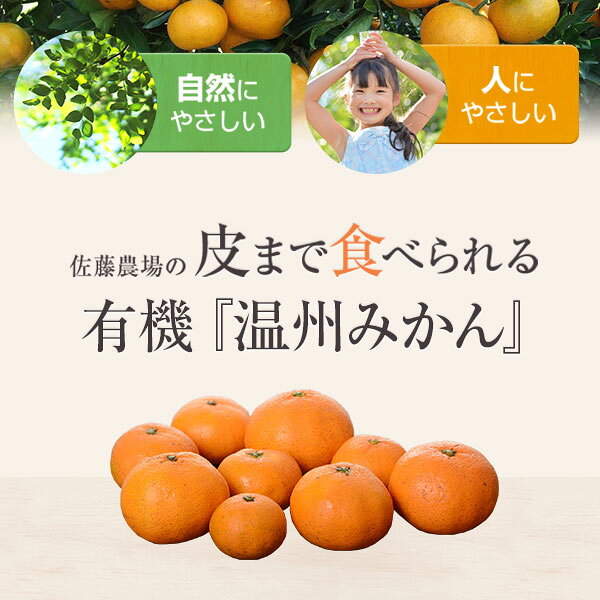 極早生みかん 3kg 5kg 10kg 選べる 温州みかん A品 2S～2Lサイズ混合 佐賀県産 有機みかん ミカン 蜜柑 佐藤農場 有機栽培 ノーワックス 防腐剤不使用 農薬不使用 化学肥料不使用 除草剤不使用 産地直送 無農薬 送料無料(一部地域除く) from-kagoshima-10000148 フロム鹿児島 サンプル画像2