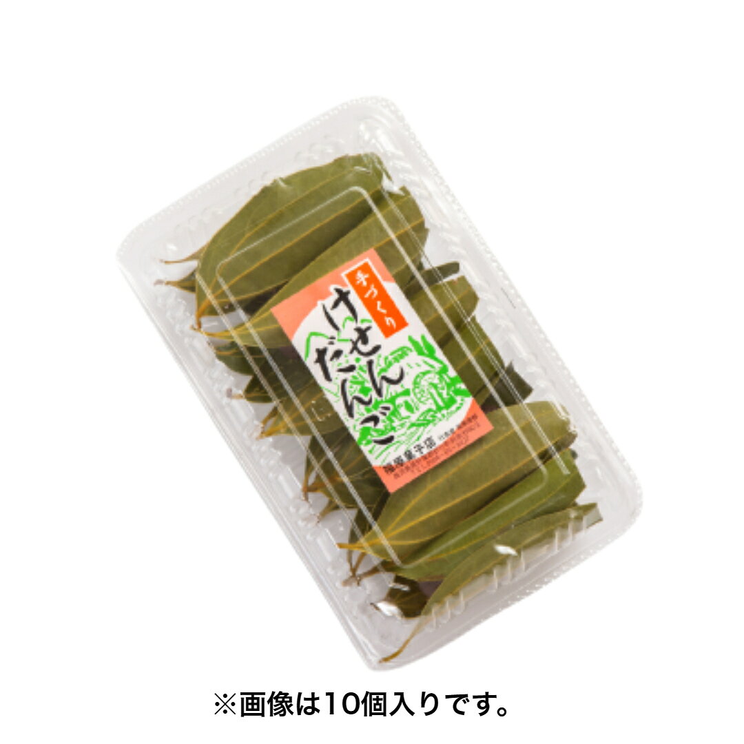 けせん団子 (1パック5個入り) セット 北海道産小豆使用 国産餅粉使用 福原菓子店 和菓子 南国銘菓 鹿児島 お土産 お菓子 あずき 小豆 from-kagoshima-10000271 フロム鹿児島 サンプル画像2