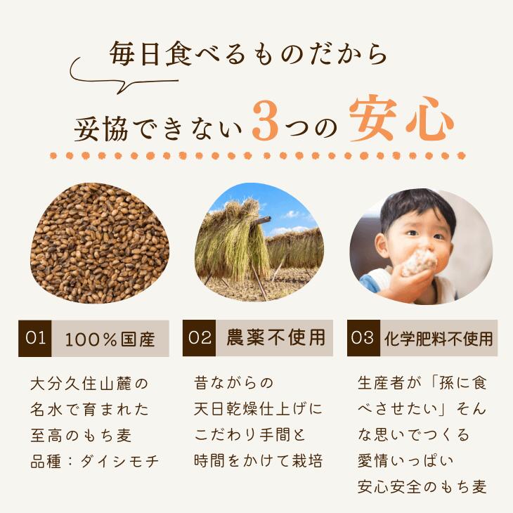 もち麦 自然農法太陽麦 玄麦 九州産 もち麦 国産 栽培期間中 農薬不使用 化学肥料...