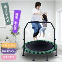 【5日限定!2人に1人最大100%Pバック】トランポリン 折りたたみ 手すり付き 大判 耐荷重300kg 静音 男の子 女の子キッズ 大人用 ダイエット 子供 ...