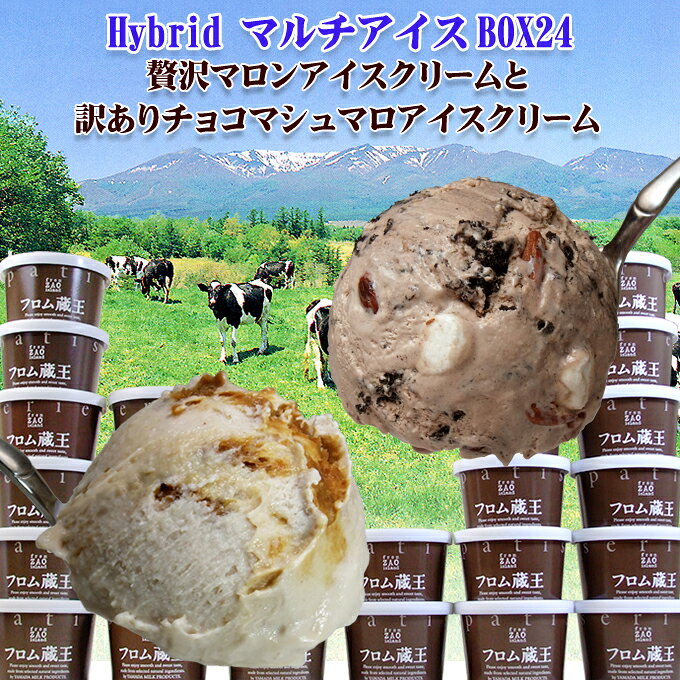 ※無地カップ訳あり※【送料無料】フロム蔵王 Hybrid マルチアイスBOX24【チョコマシュマロ＋贅沢マロン】