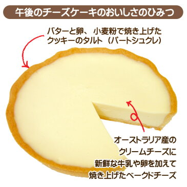 訳あってお買い得!午後のチーズケーキ(4個セット)