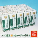 【賞味期限の短い】極のむヨーグルトの20本セット【送料無料】(賞味期限4/30）※出荷4/20～