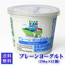 【賞味期限の短い】フロム蔵王 プレーンヨーグルト250gX12個セット【送料込み】(賞味