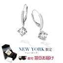 【翌日配送】 ピアス レディース フープピアス 豪華 揺れるピアス プラチナ 加工 シルバー925 大粒 誕生日プレゼント 結婚記念日 女性 彼女 妻 嫁 母 50代 40代 30代 20代 ギフト ブランド 人気 かわいい シンプル 金属アレルギー