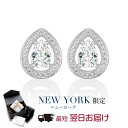 【翌日配送】ピアス レディース プラチナ 加工 ペアシェイプ ティアドロップ 誕生日 プレゼント 結婚記念日 女性 彼女 妻 嫁 金属アレルギー ニッケルフリー 大人 ブランド ドレス パーティー